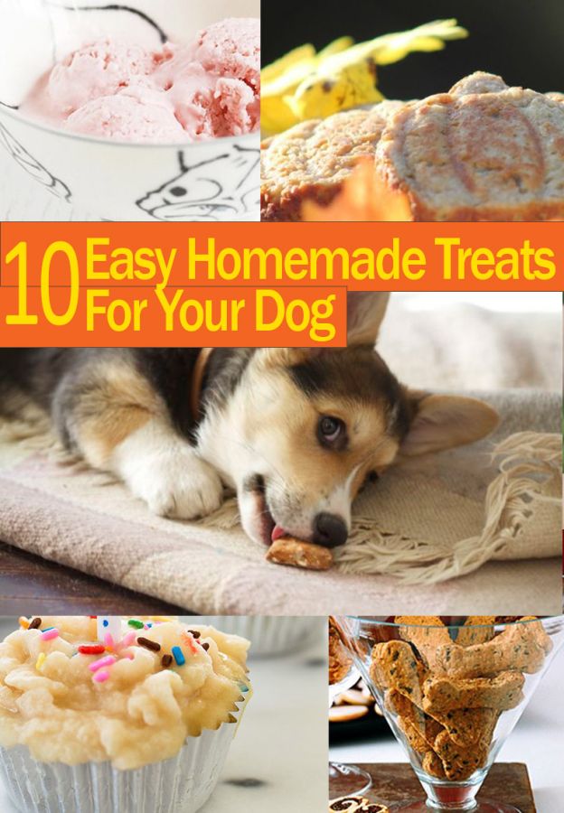 10-dog-treats