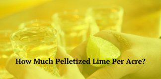 How Much Pelletized Lime Per Acre?