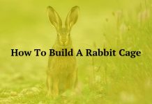 How To Build A Rabbit Cage