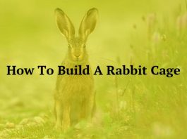 How To Build A Rabbit Cage