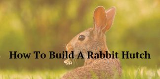 How To Build A Rabbit Hutch