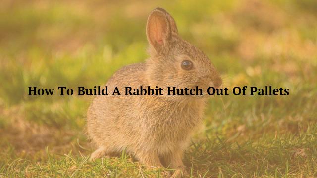 How To Build A Rabbit Hutch Out Of Pallets