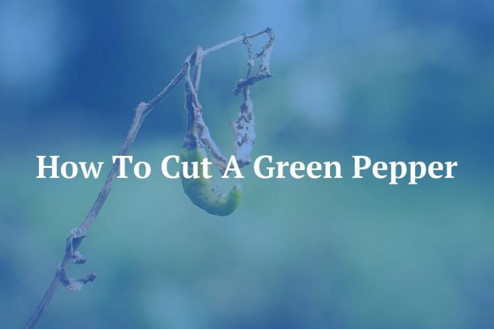 How To Cut A Green Pepper