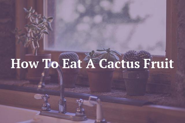 How To Eat A Cactus Fruit