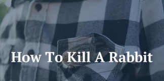 How To Kill A Rabbit