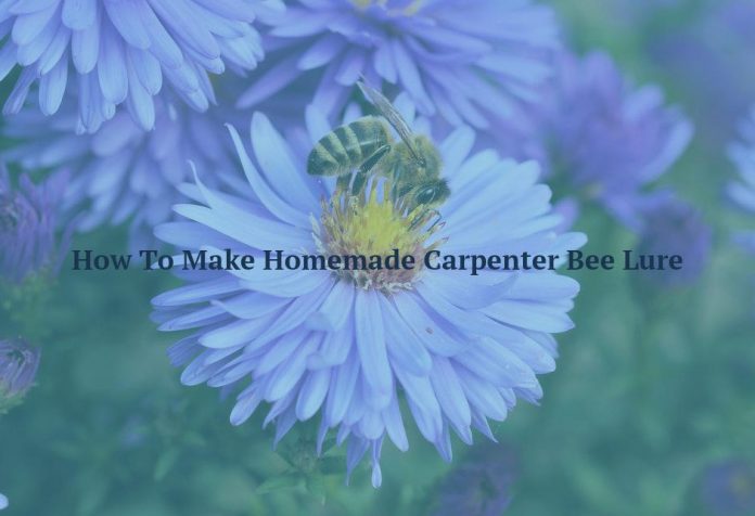 How To Make Homemade Carpenter Bee Lure