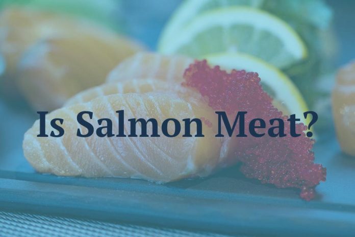 Is Salmon Meat?
