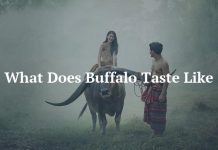What Does Buffalo Taste Like