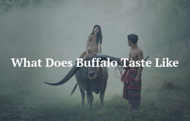 What Does Buffalo Taste Like
