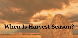 When Is Harvest Season?