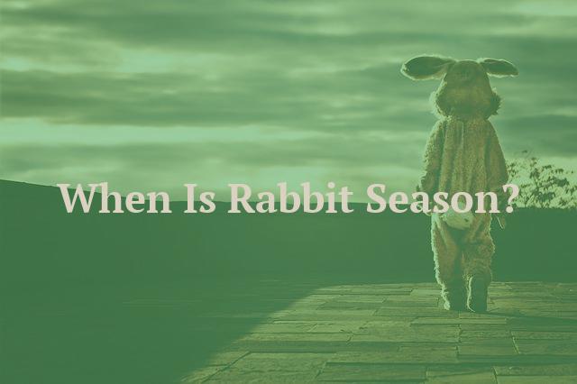 When Is Rabbit Season?