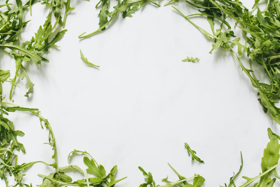 Is there a limit to the number of times that arugula can be Harvested? You can harvest a few leaves at a time or cut up a third of the outer leaves. Allow the arugula to develop new leaves from the cut areas, and then cut more leaves when the leaves reach at least a few leaves.