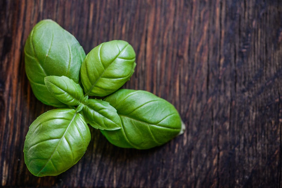 The summer is a great time to cultivate herbs. Basil can be used and preserved, so read on to learn how.