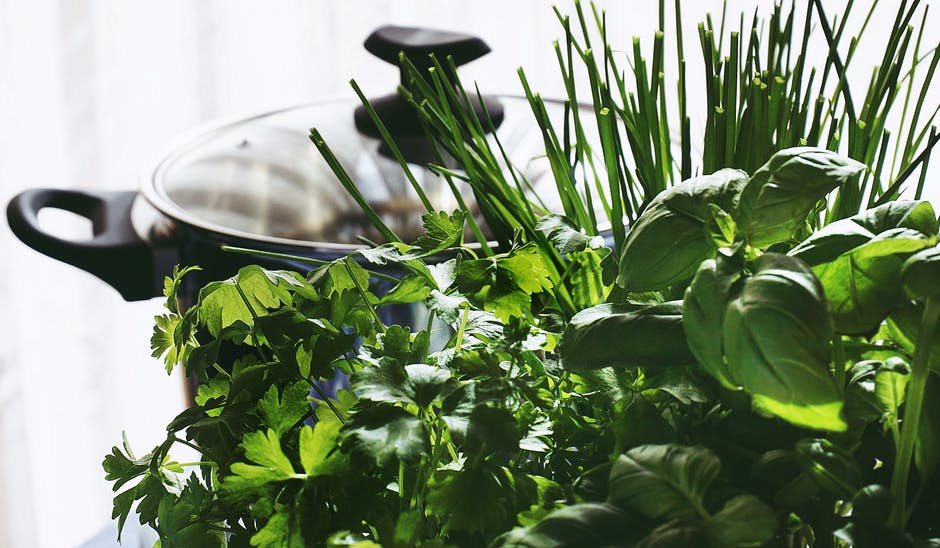 You need to trim the herbs regularly if you are growing them outside or in pots. You can keep your herbs looking good by following these simple steps.