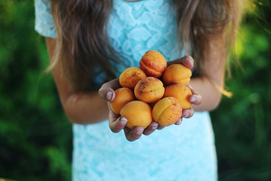 It's possible to plant a new tree with the peach seeds inside. You can turn your fruit into a peach tree by following these steps.