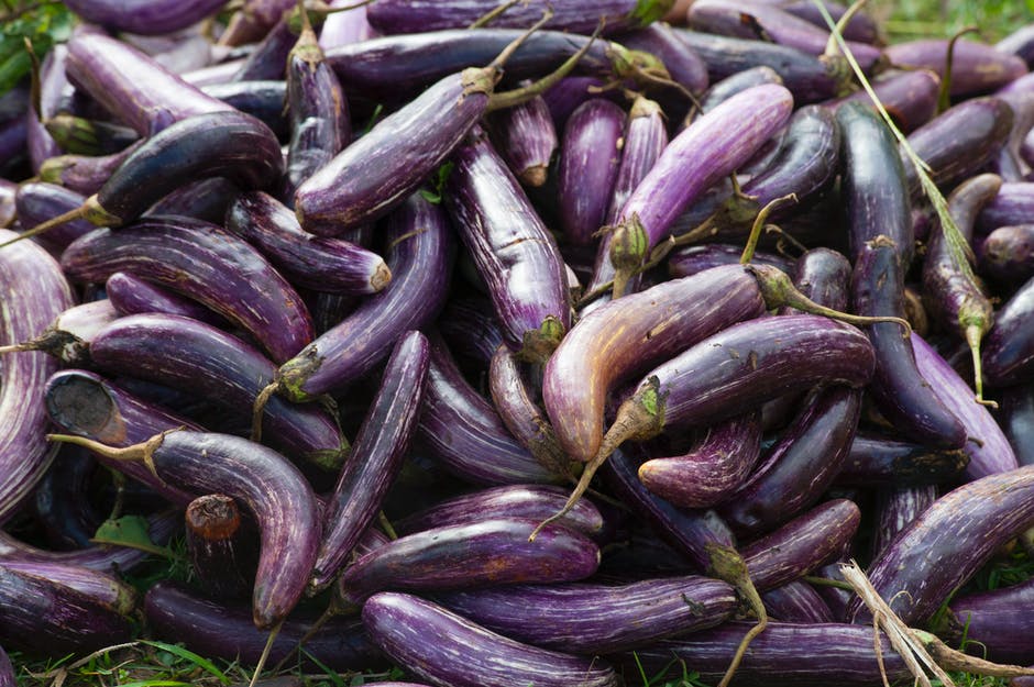 Don't throw that extra vegetable away. It is possible to cook and freeze it for later. Storage tips are included in the four methods of freezing eggplant.