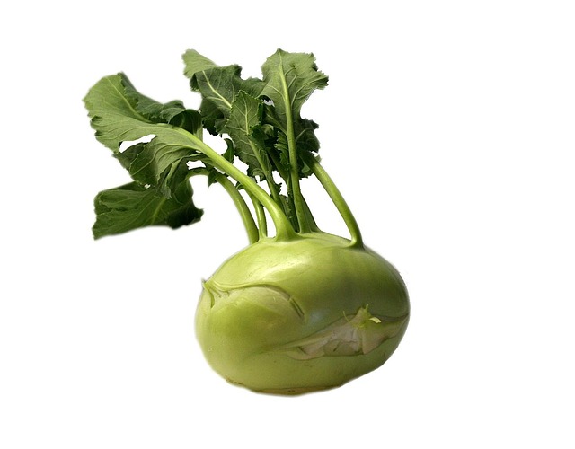 It's easy to harvest kohlrabi, but it's important to harvest it at the right time for the best flavor.