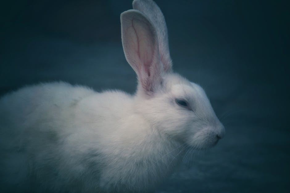 There are potentially serious poisons for rabbits that you can learn more about. If you think your rabbit has been poisoned, you should seek advice from a vet as soon as possible.