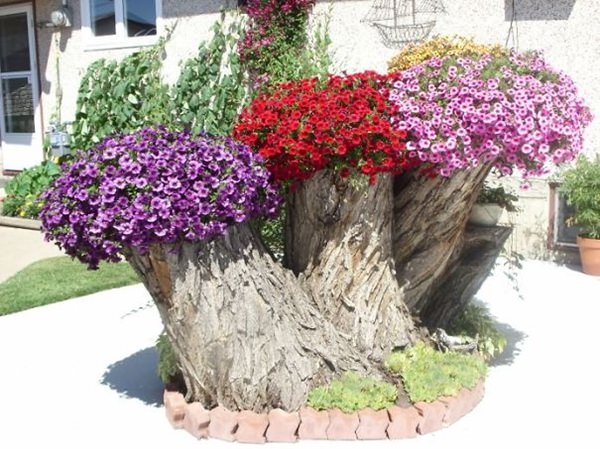 Image result for tree stump planter