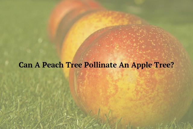 Can A Peach Tree Pollinate An Apple Tree?