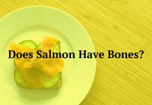 Does Salmon Have Bones?