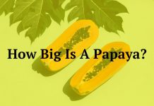 How Big Is A Papaya?