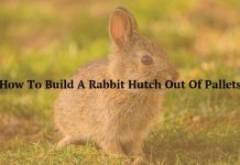 How To Build A Rabbit Hutch Out Of Pallets