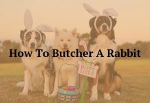 How To Butcher A Rabbit
