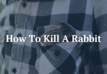How To Kill A Rabbit