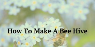 How To Make A Bee Hive
