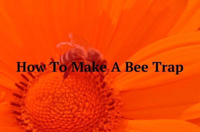 How To Make A Bee Trap