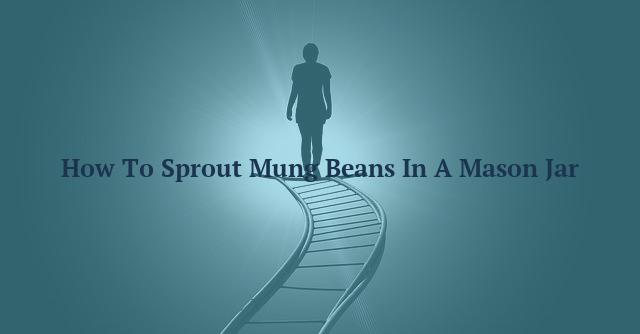 How To Sprout Mung Beans In A Mason Jar