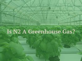Is N2 A Greenhouse Gas?