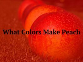 What Colors Make Peach