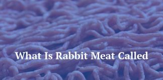 What Is Rabbit Meat Called