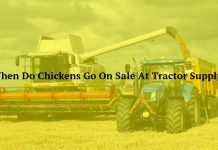 When Do Chickens Go On Sale At Tractor Supply?
