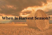 When Is Harvest Season?