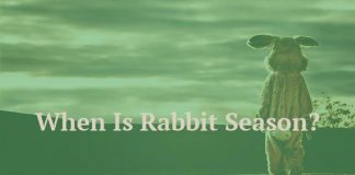 When Is Rabbit Season?