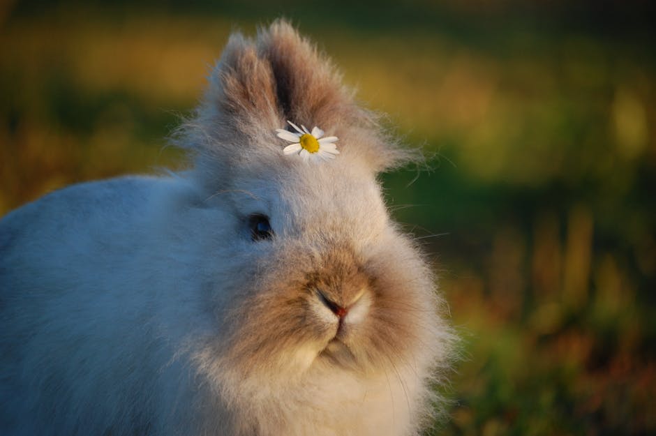 rabbits eat a variety of coarse materials in the wild to help wear down their teeth This can be a real problem for people with house rabbits that are not in a hutch.